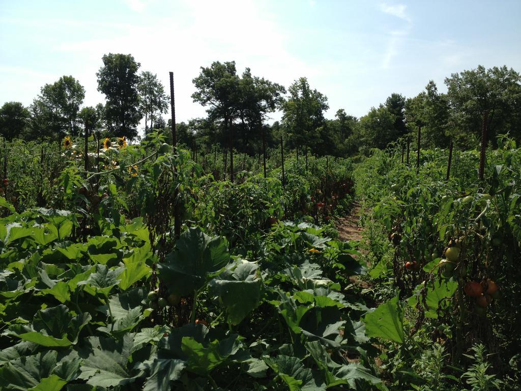 Lukans Farm Resort Hawley ภายนอก รูปภาพ